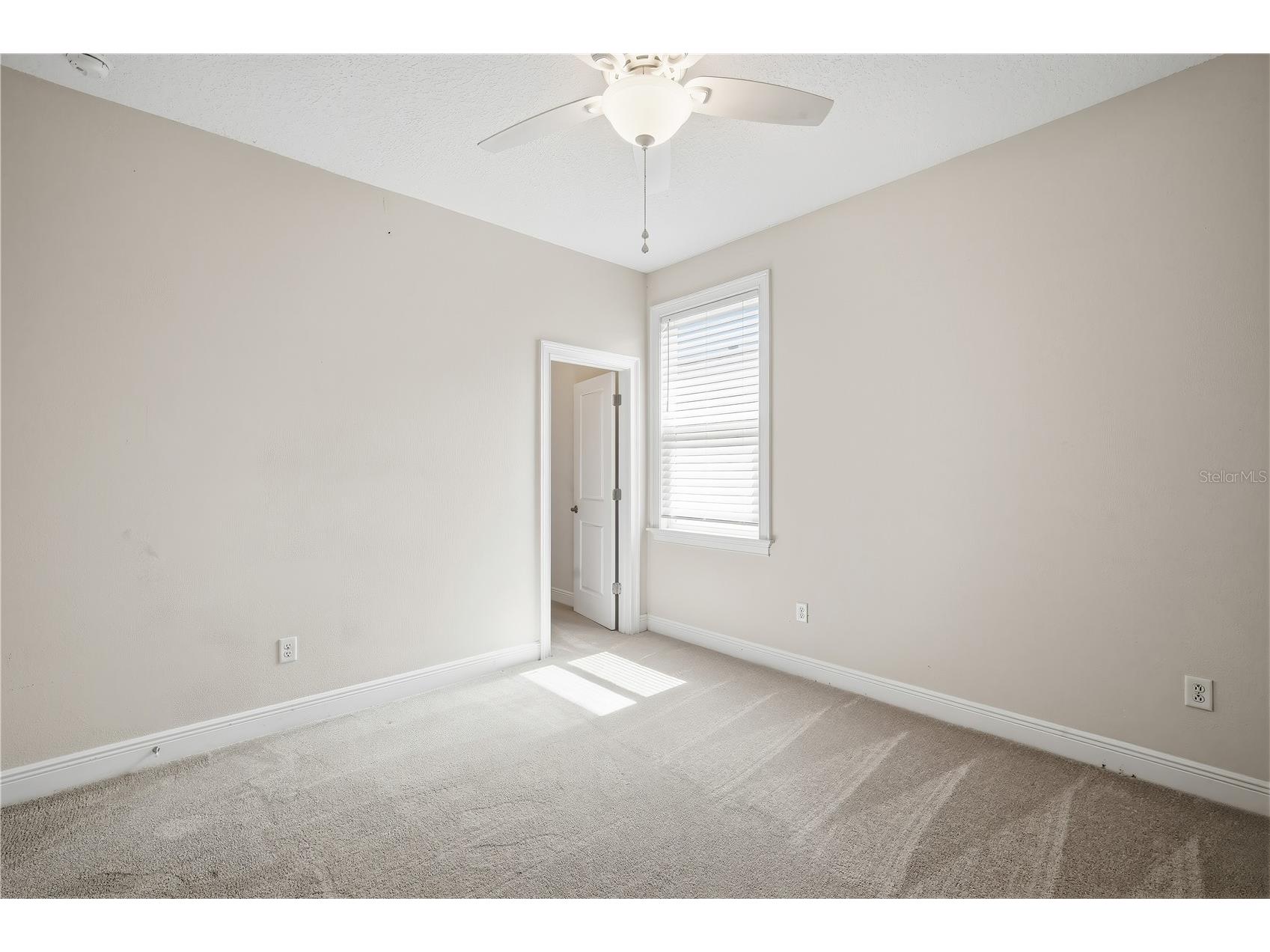 2411 W Fig Street #1 Tampa FL 33609 TB8516693 image15