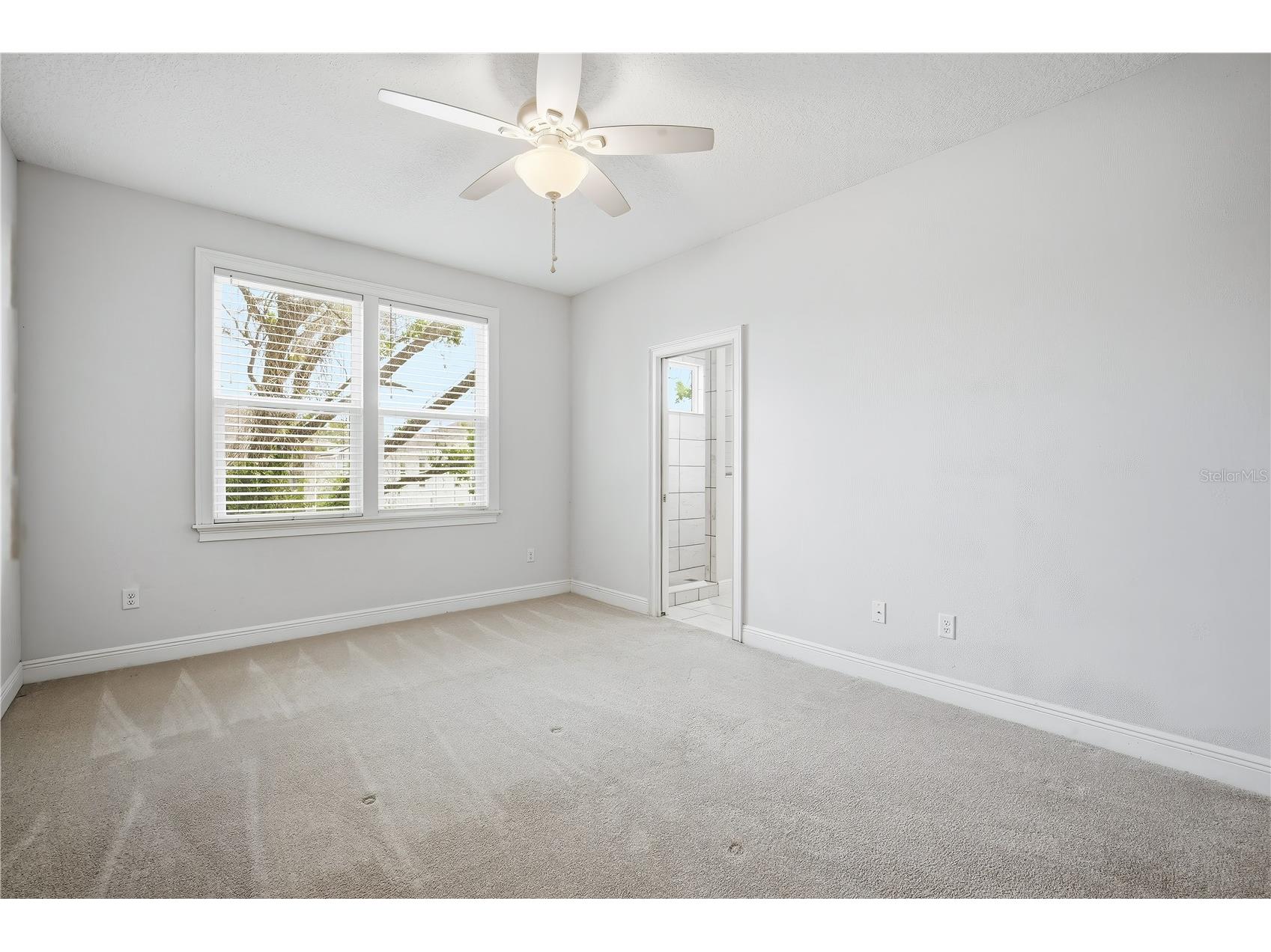 2411 W Fig Street #1 Tampa FL 33609 TB8516693 image18