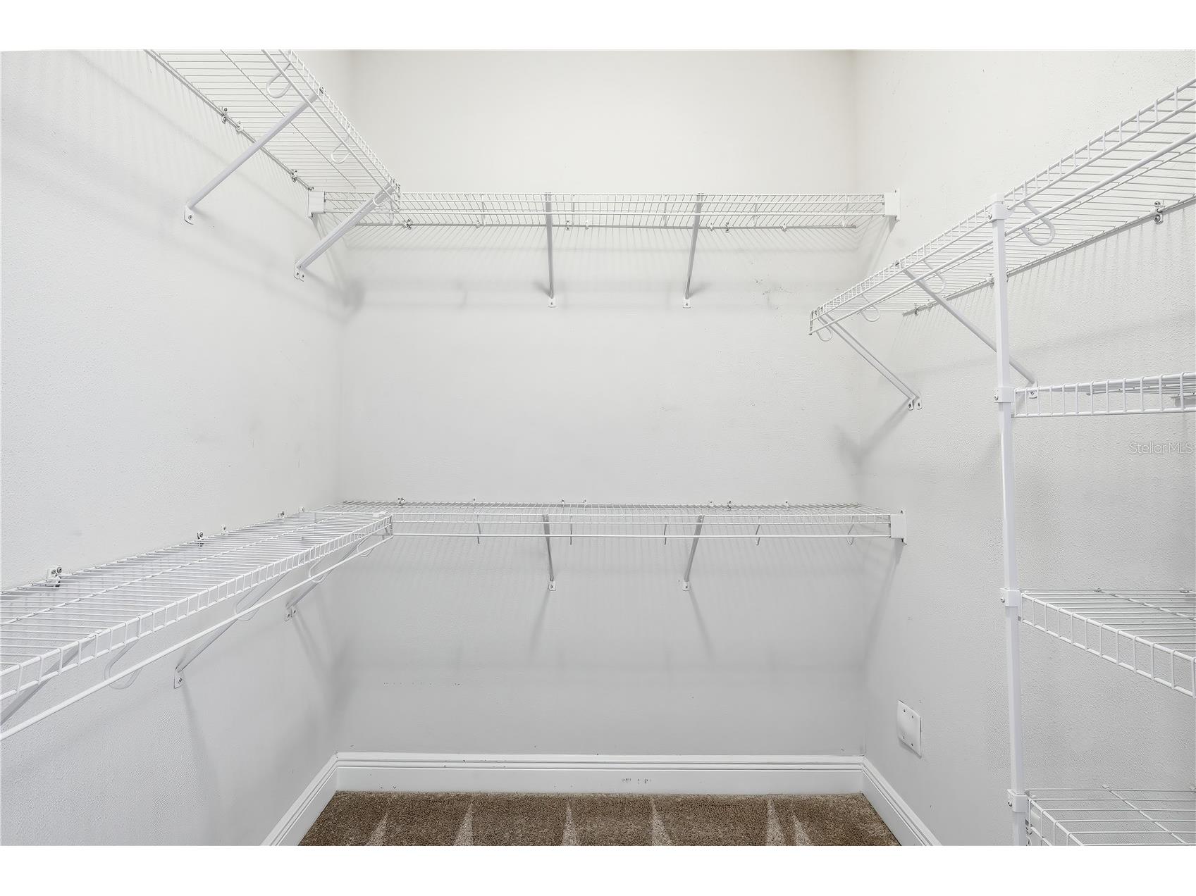 2411 W Fig Street #1 Tampa FL 33609 TB8516693 image20
