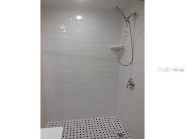 2411 W Horatio Street #524 Tampa FL 33609 TB8505149 image8