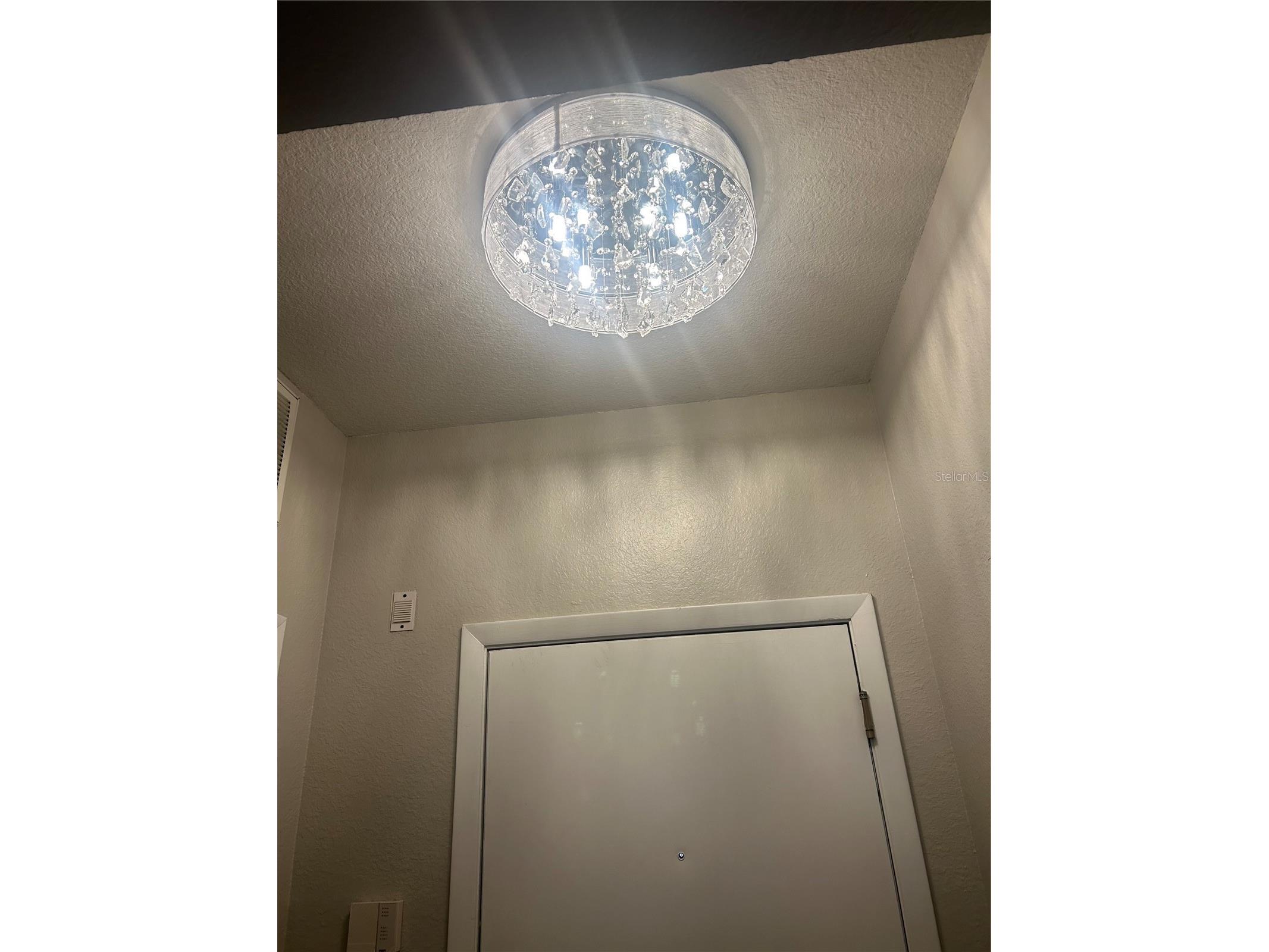 2411 W Horatio Street #538 Tampa FL 33609 TB8510933 image2