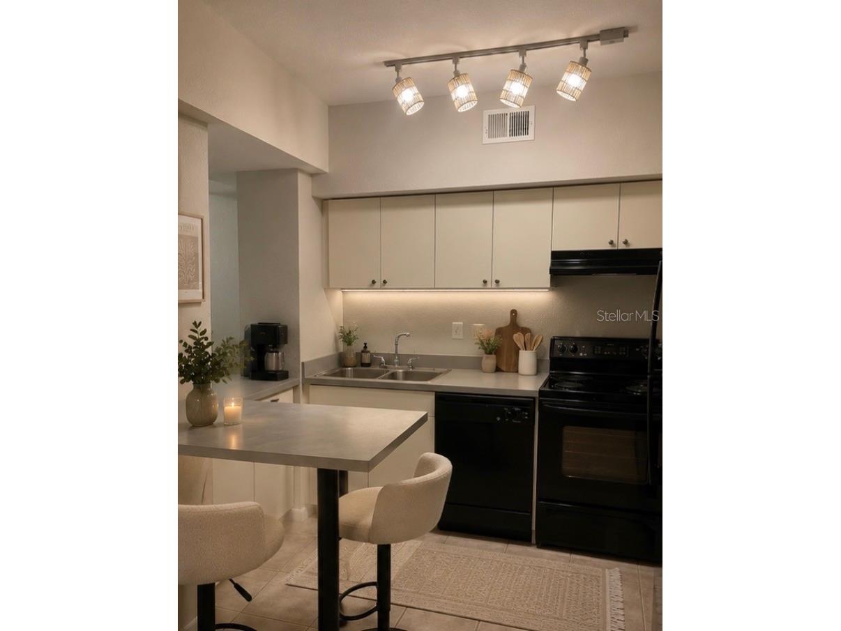 2411 W Horatio Street #538 Tampa FL 33609 TB8510933 image3