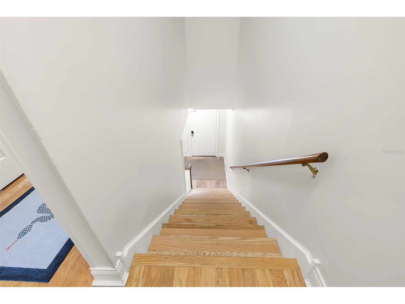2411 W Jetton Avenue Tampa FL 33629 TB8525465 image15
