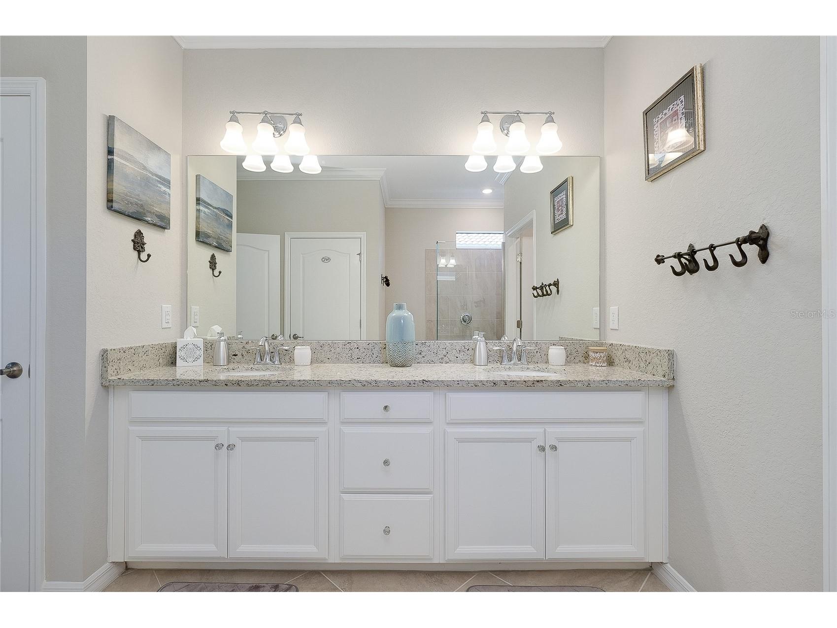 24113 Spartina Drive Venice FL 34293 N6144040 image33