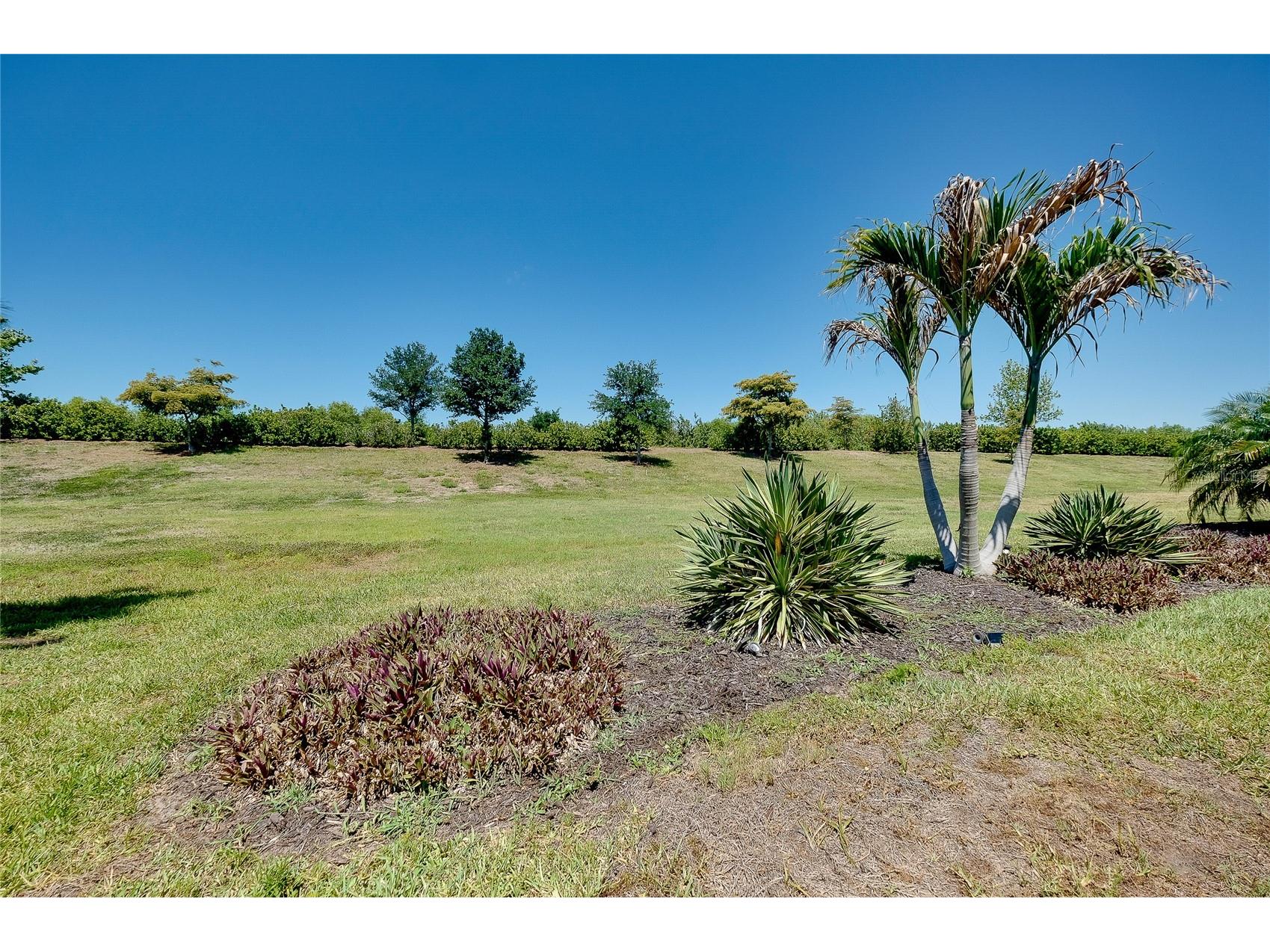 24113 Spartina Drive Venice FL 34293 N6144040 image59