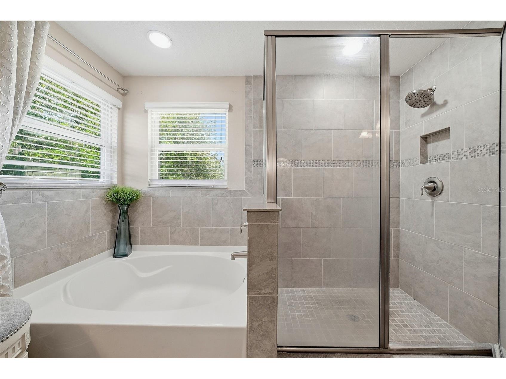 24115 San Giovanni Drive Land O Lakes FL 34639 TB8510326 image31