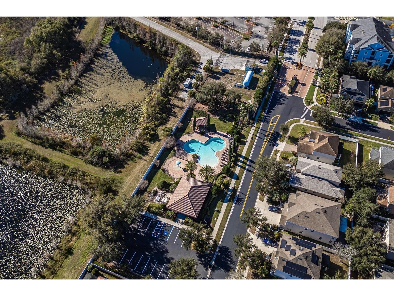 24115 San Giovanni Drive Land O Lakes FL 34639 TB8510326 image48