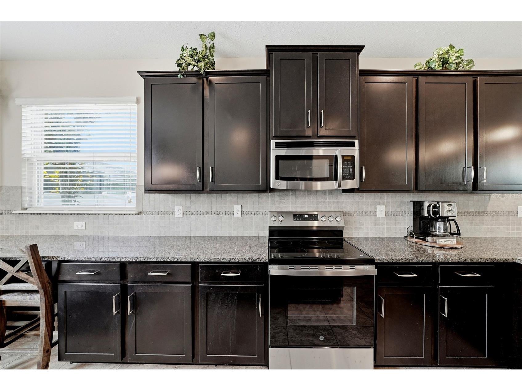 24115 San Giovanni Drive Land O Lakes FL 34639 TB8510326 image9