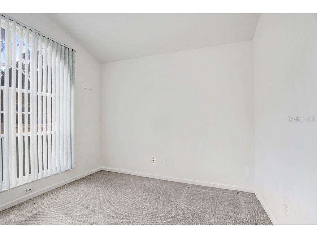 2412 Durant Road Valrico FL 33596 TB8475953 image16