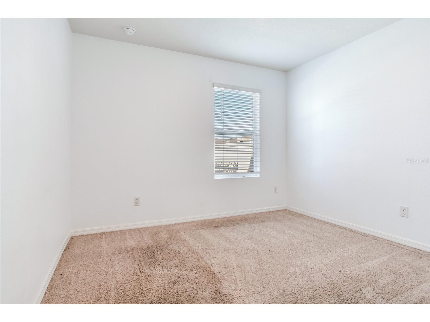 2412 Knight Island Drive Brandon FL 33511 TB8476634 image21