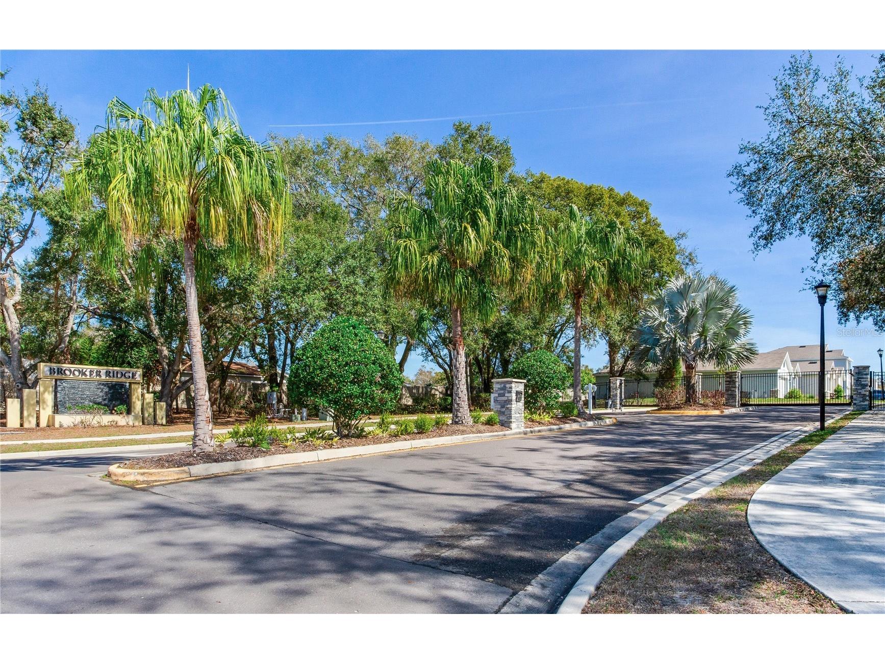 2412 Knight Island Drive Brandon FL 33511 TB8476634 image49