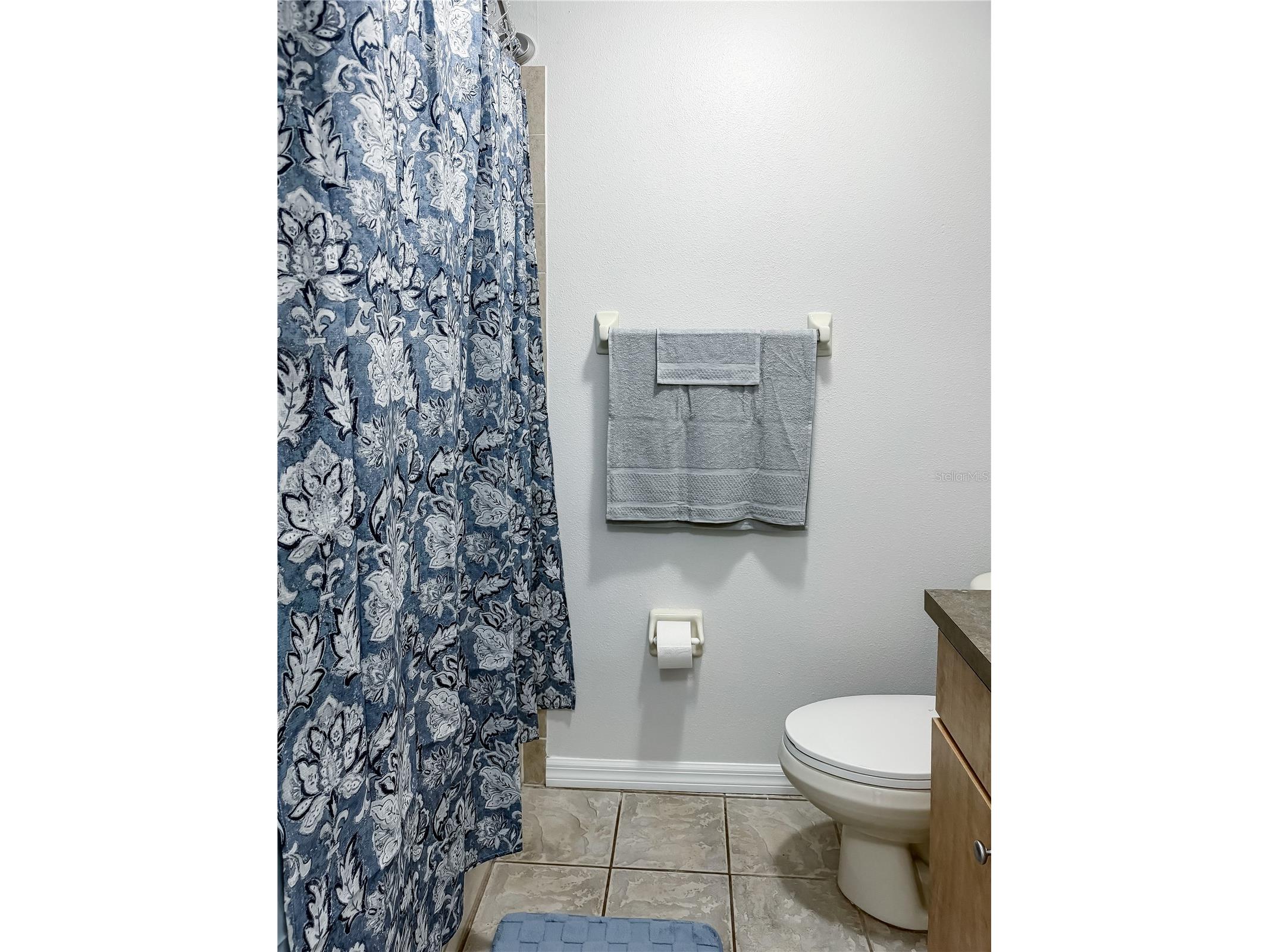 2412 W Fig Street #2 Tampa FL 33609 TB8517312 image13