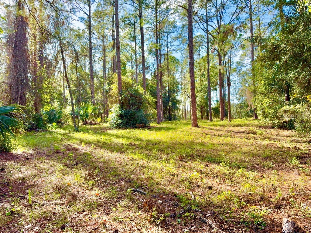 24120 Greenwood Crossing Eustis FL 32736 G5091485 image1
