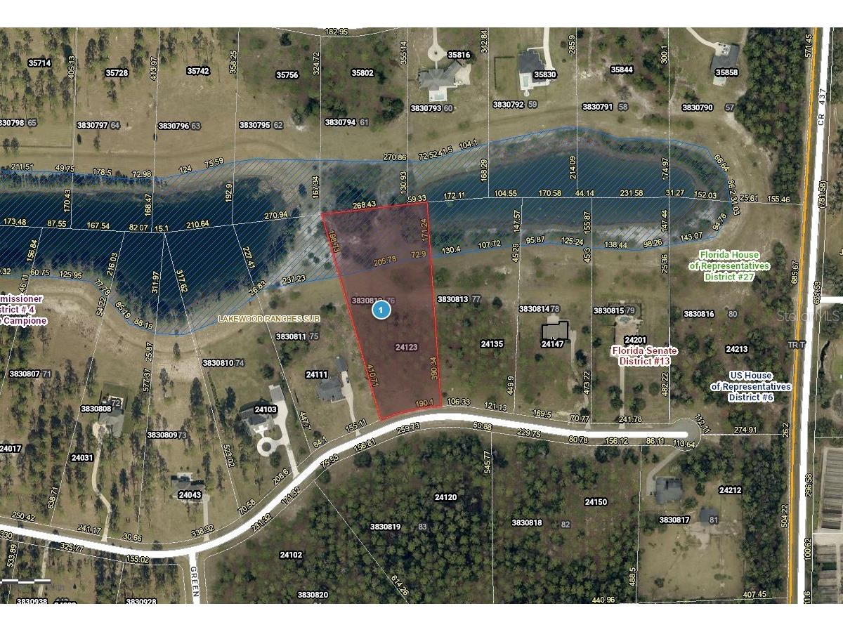 24123 Greenwood Crossing Eustis FL 32736 O6407732 image1