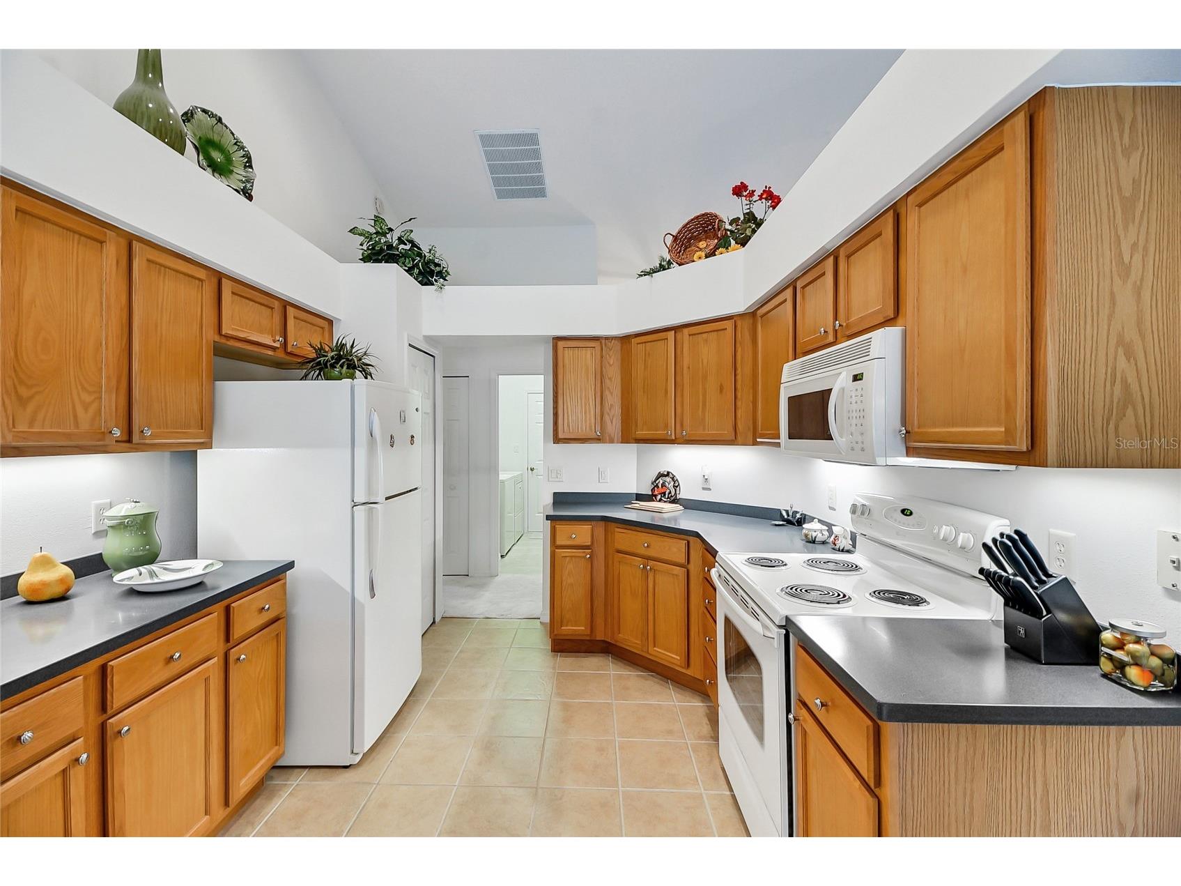 24128 Robinwood Street Leesburg FL 34748 G5109326 image21