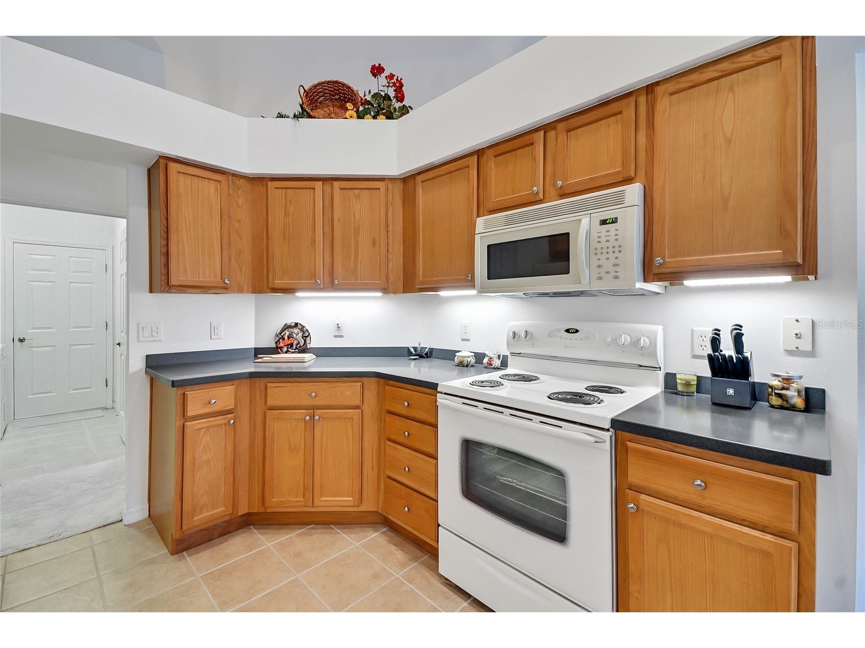 24128 Robinwood Street Leesburg FL 34748 G5109326 image23