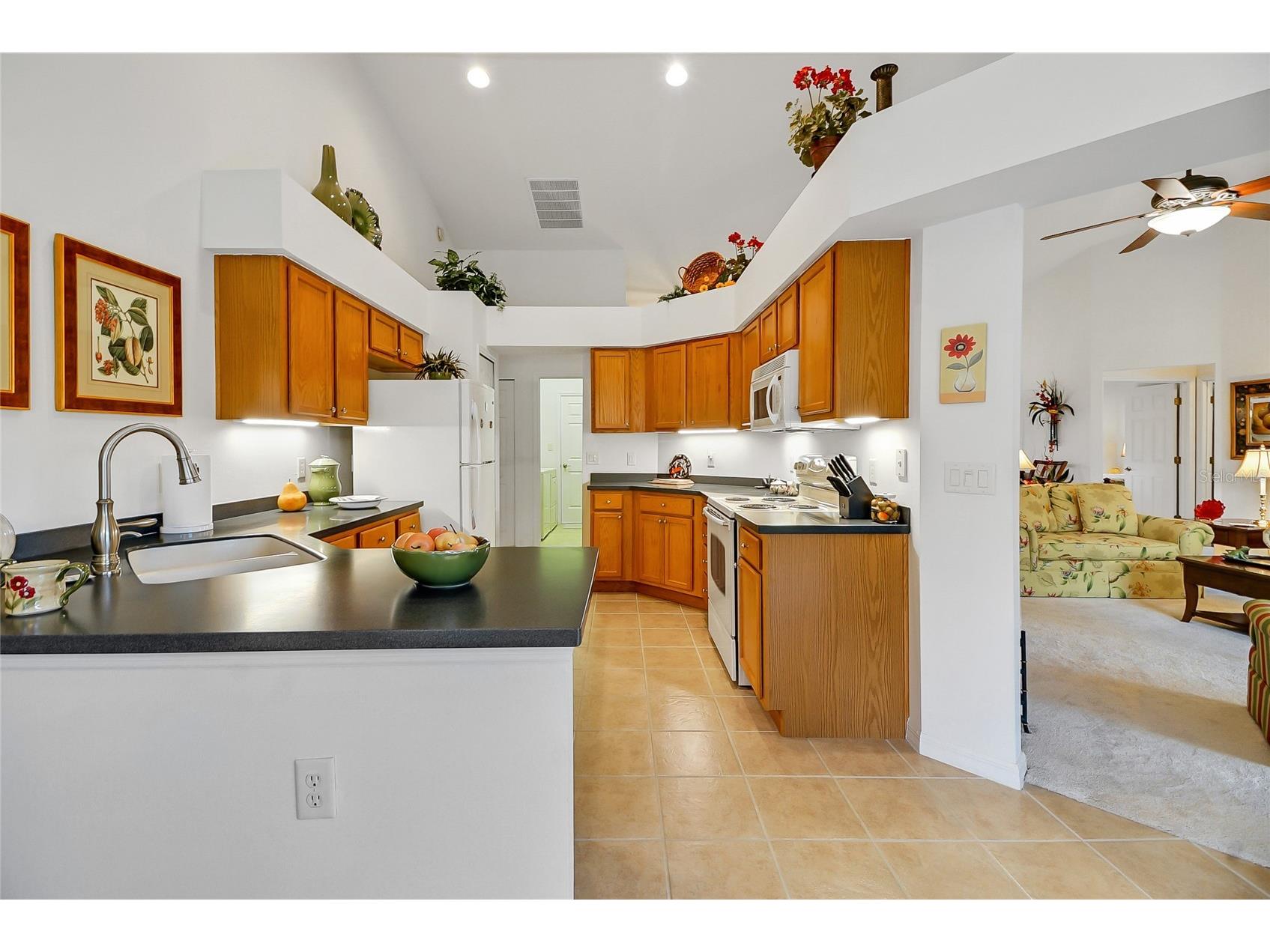 24128 Robinwood Street Leesburg FL 34748 G5109326 image25