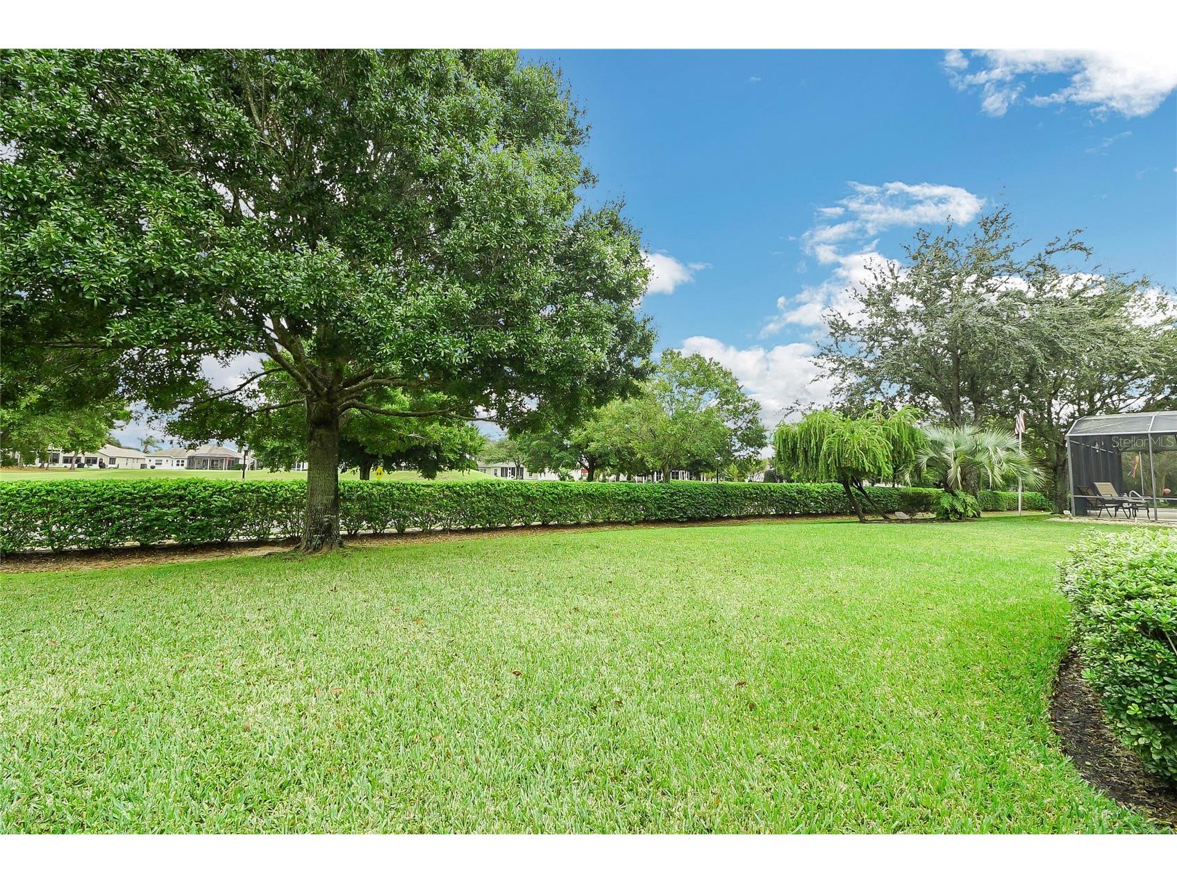 24128 Robinwood Street Leesburg FL 34748 G5109326 image53