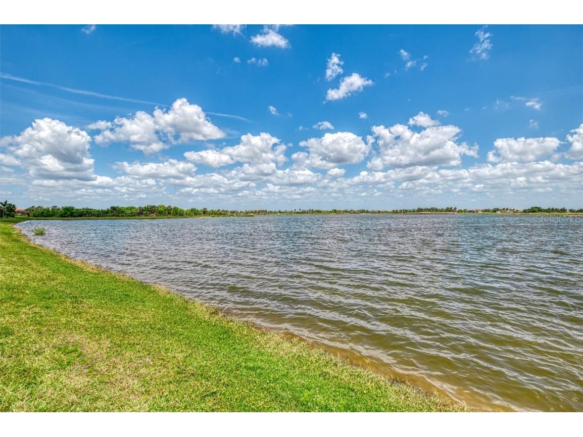 24128 Spartina Drive Venice FL 34293 N6138169 image53