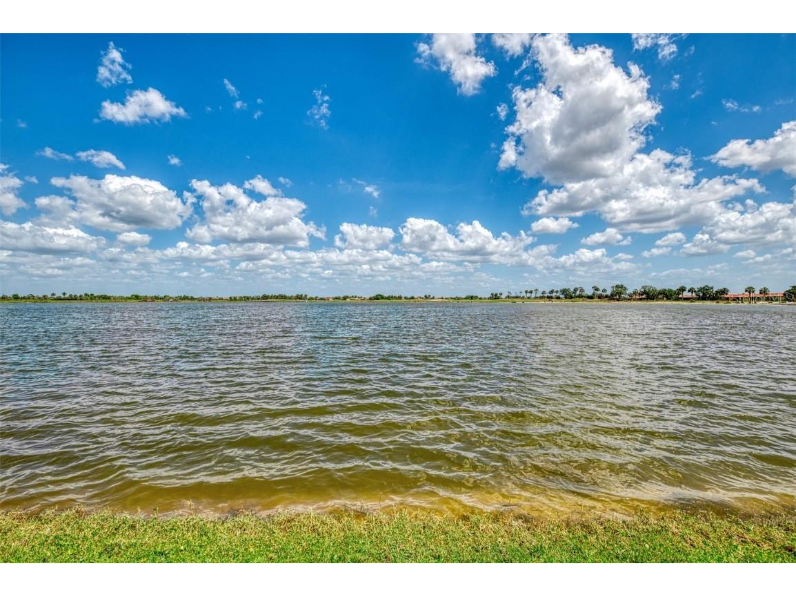 24128 Spartina Drive Venice FL 34293 N6138169 image54