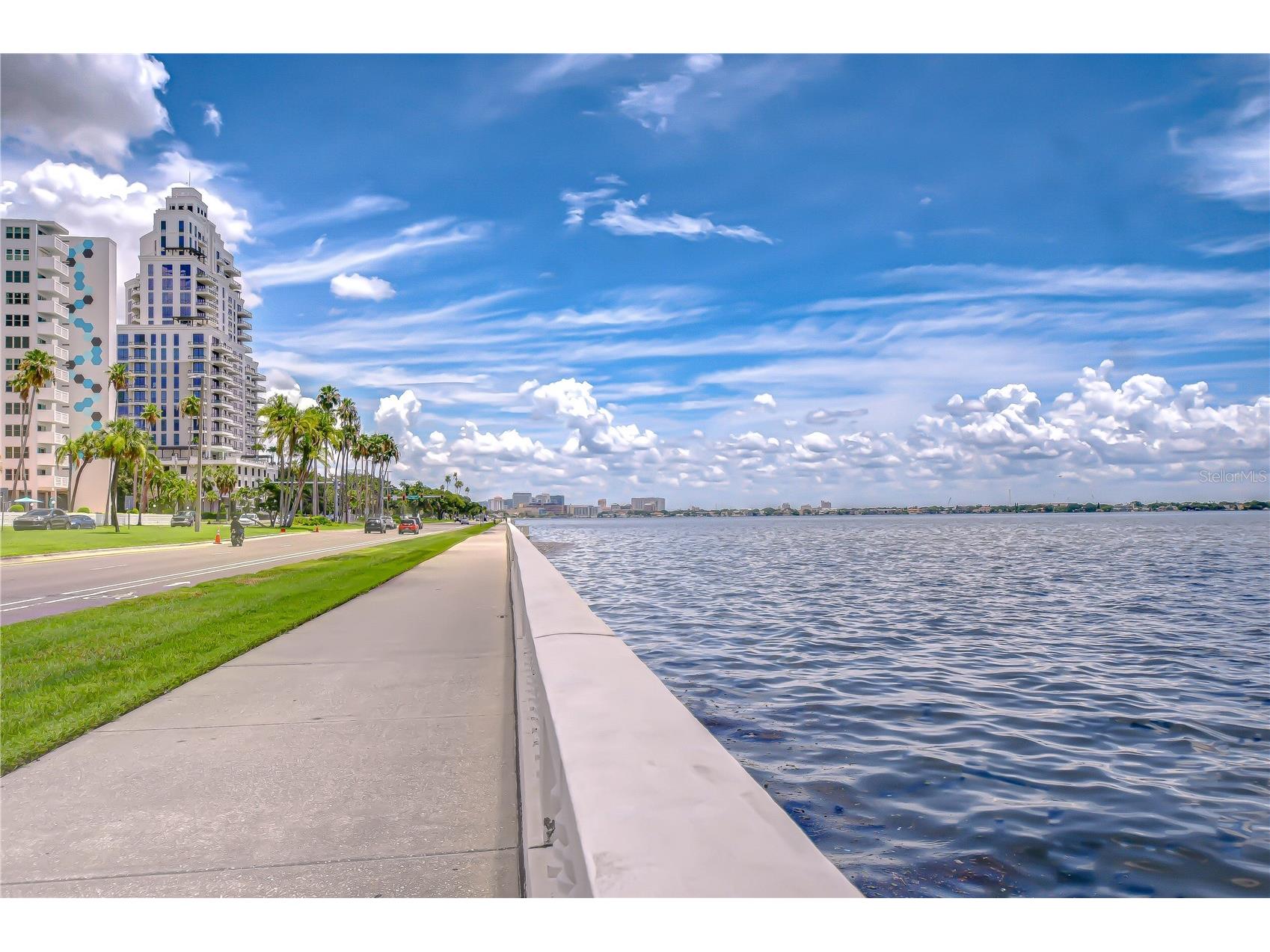2413 Bayshore Boulevard #1003 Tampa FL 33629 TB8498571 image28