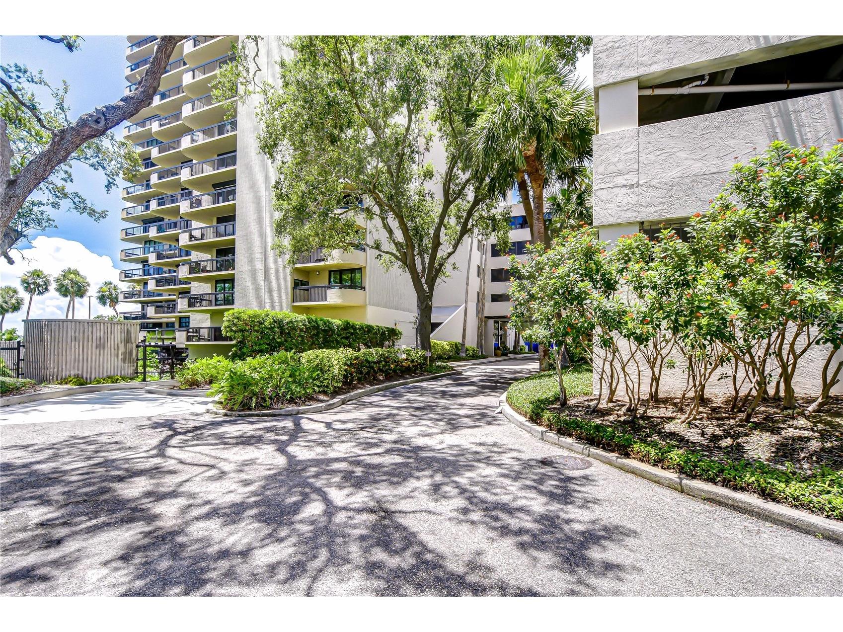 2413 Bayshore Boulevard #1003 Tampa FL 33629 TB8498571 image30