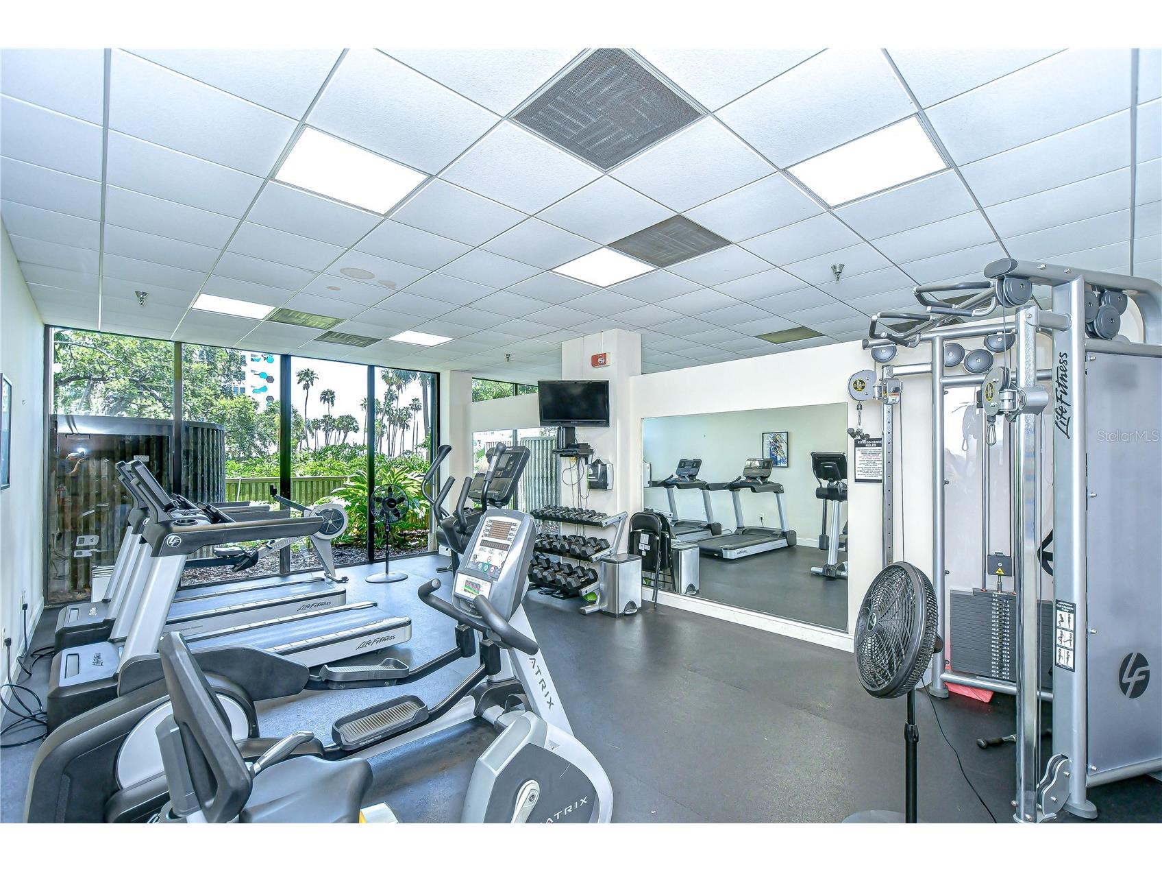 2413 Bayshore Boulevard #1003 Tampa FL 33629 TB8498571 image35