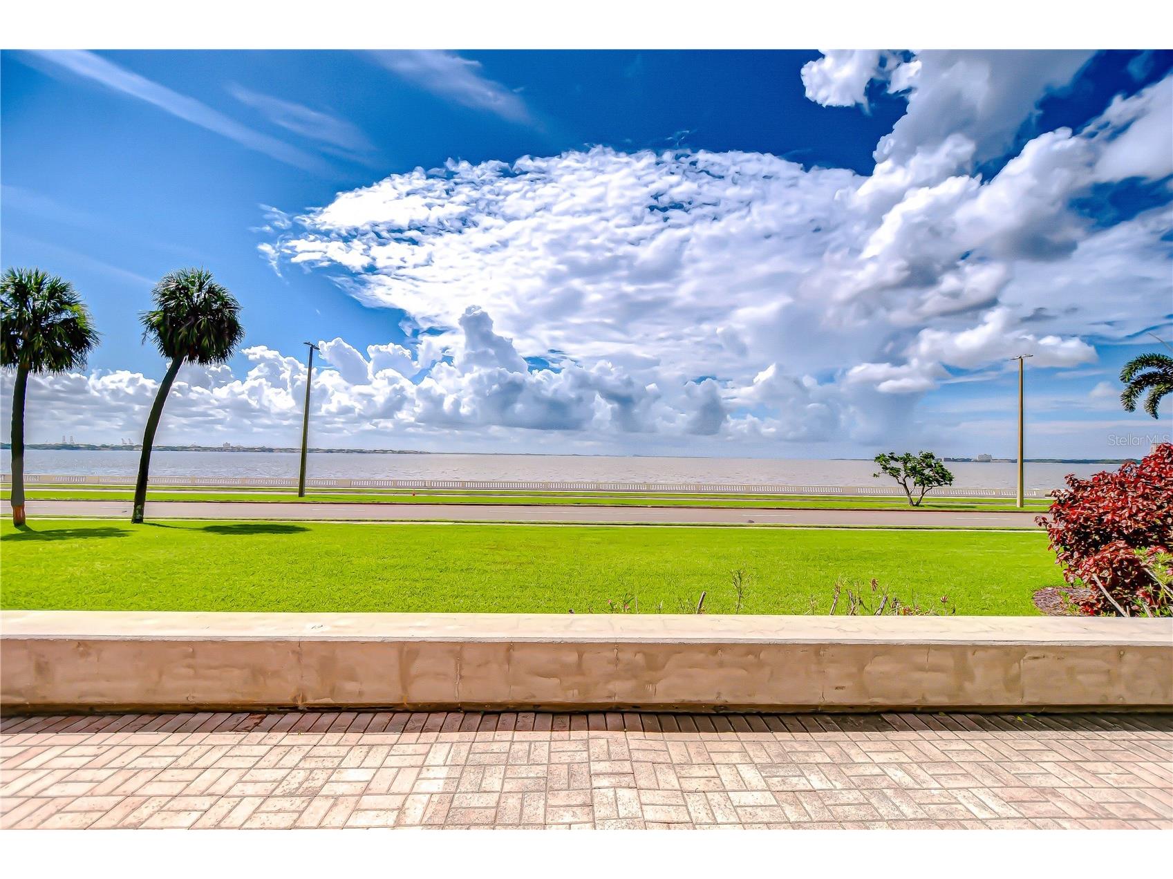 2413 Bayshore Boulevard #1003 Tampa FL 33629 TB8498571 image40