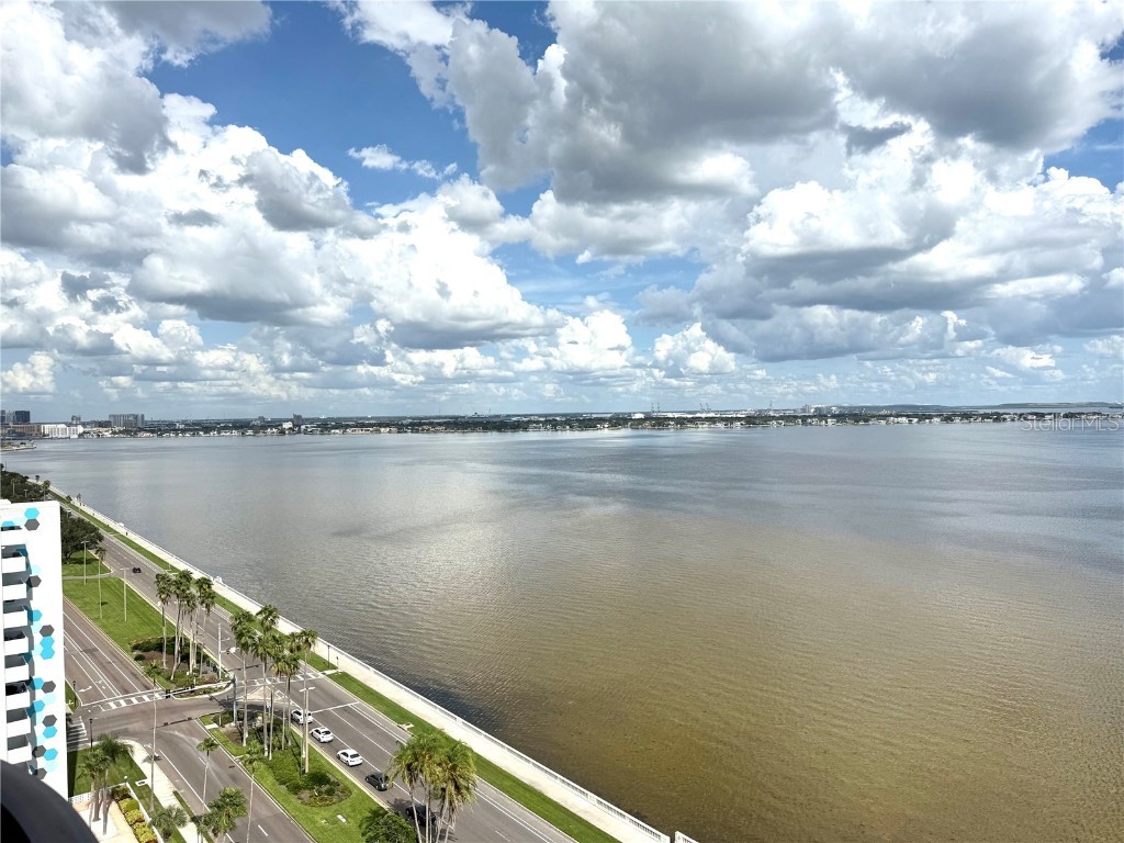 2413 Bayshore Boulevard #1805 Tampa FL 33629 TB8423594 image17