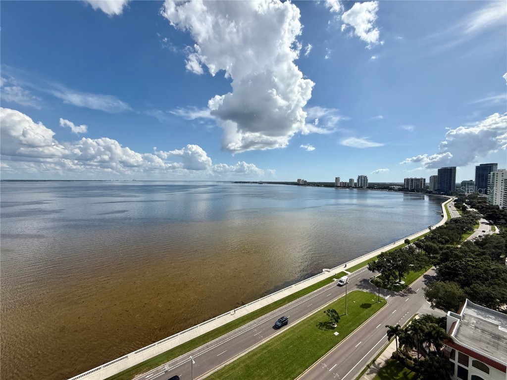 2413 Bayshore Boulevard #1805 Tampa FL 33629 TB8423594 image18