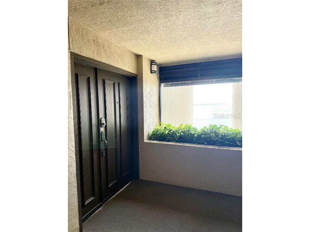 2413 Bayshore Boulevard #1805 Tampa FL 33629 TB8423594 image3