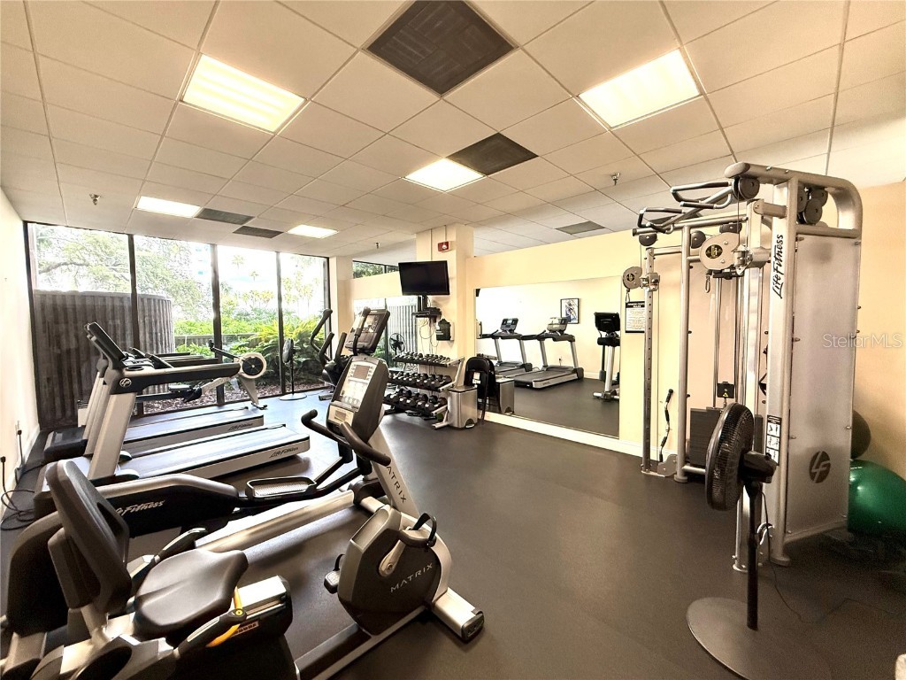 2413 Bayshore Boulevard #1805 Tampa FL 33629 TB8423594 image31