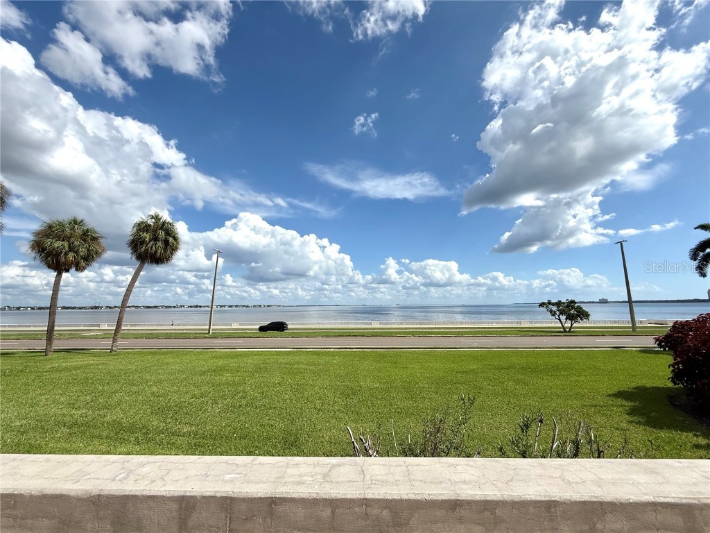 2413 Bayshore Boulevard #1805 Tampa FL 33629 TB8423594 image36