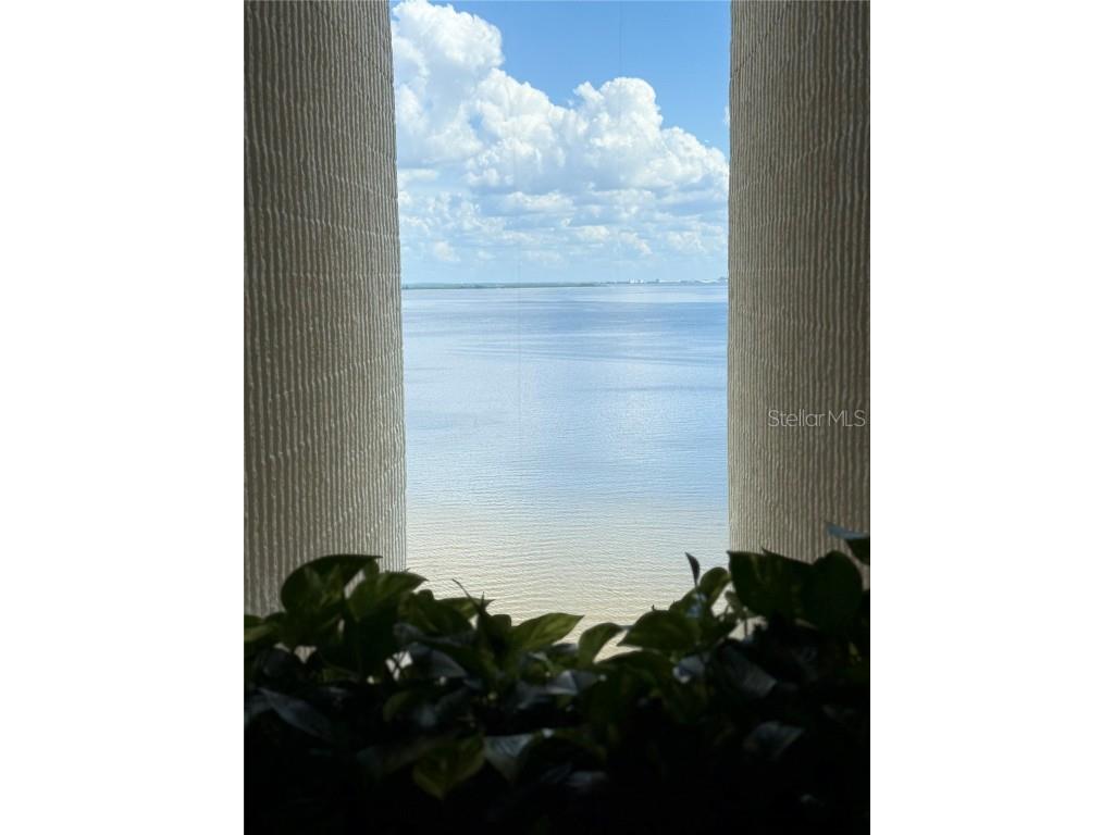 2413 Bayshore Boulevard #1805 Tampa FL 33629 TB8423594 image4