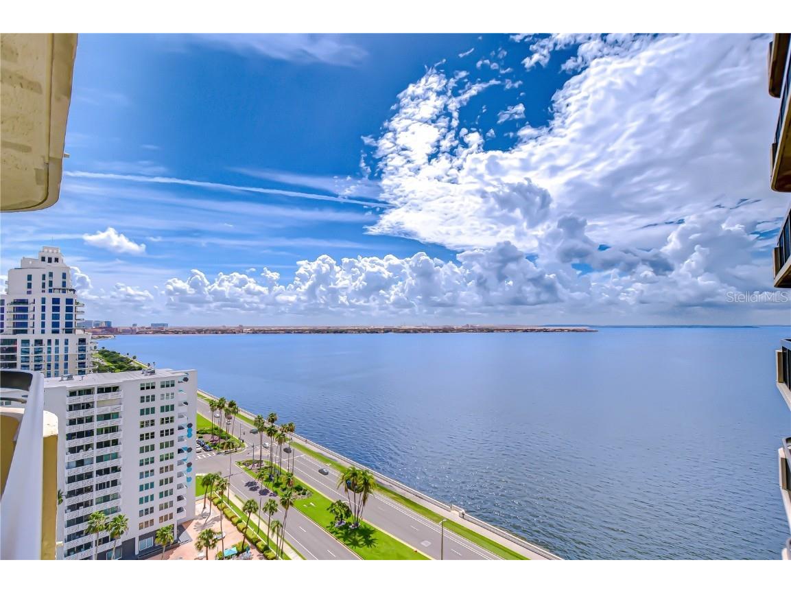 2413 Bayshore Boulevard #1903 Tampa FL 33629 TB8401772 image1