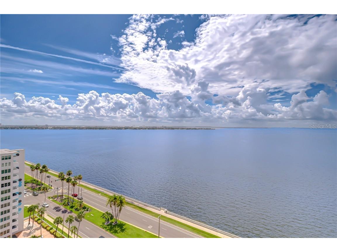2413 Bayshore Boulevard #1903 Tampa FL 33629 TB8401772 image28