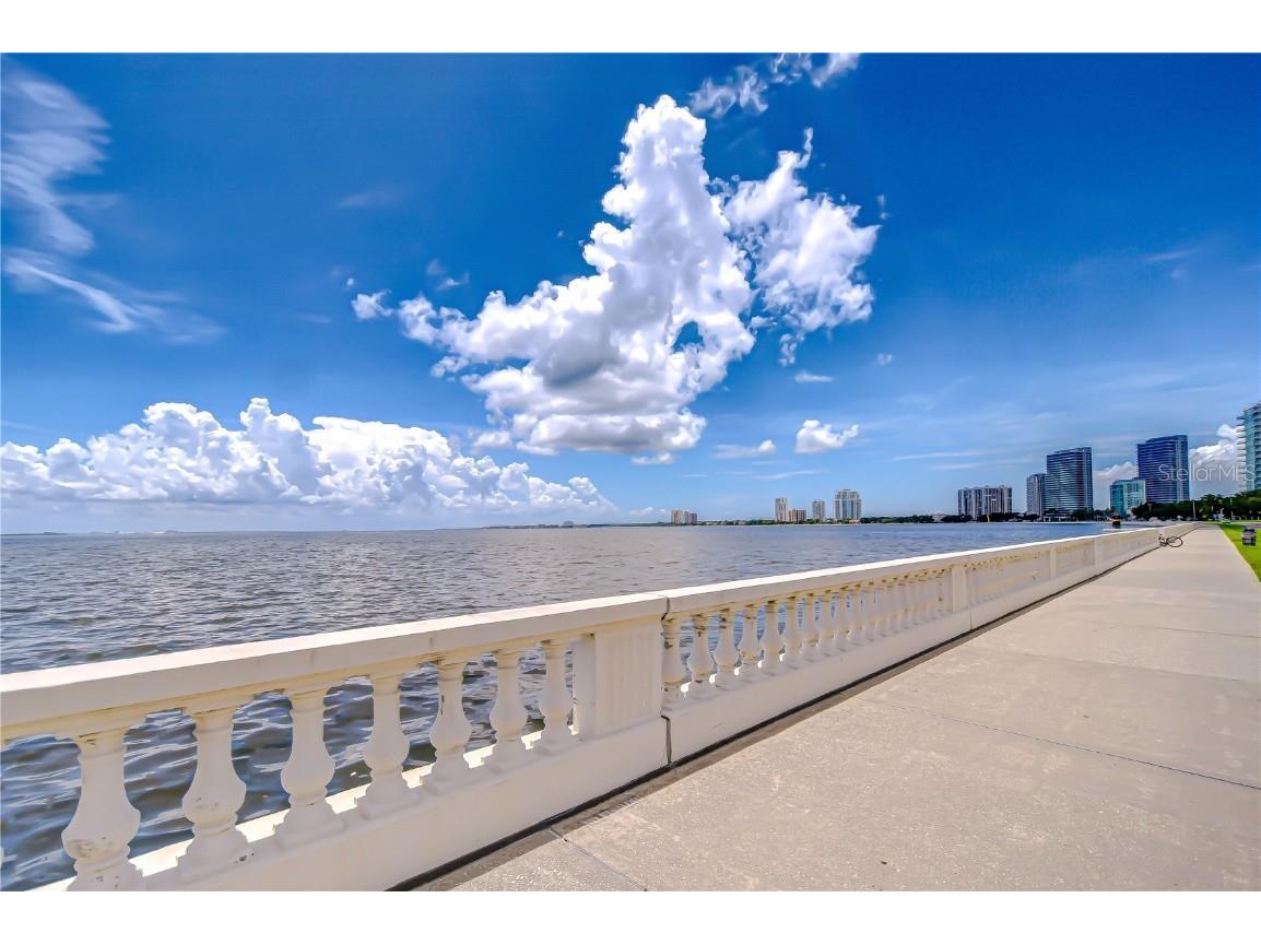2413 Bayshore Boulevard #1903 Tampa FL 33629 TB8401772 image36