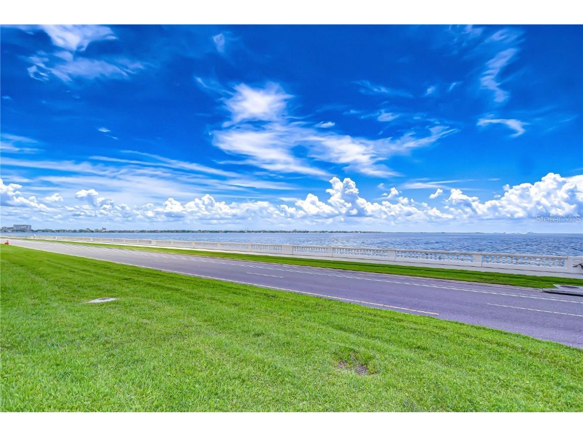 2413 Bayshore Boulevard #1903 Tampa FL 33629 TB8401772 image38