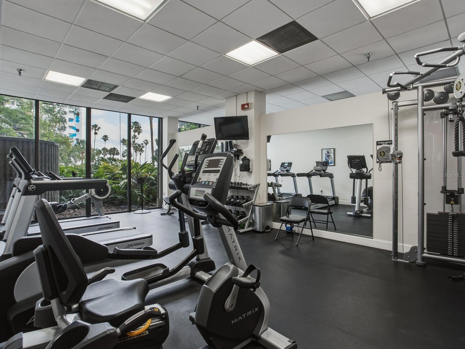 2413 Bayshore Boulevard #201 Tampa FL 33629 TB8495053 image26