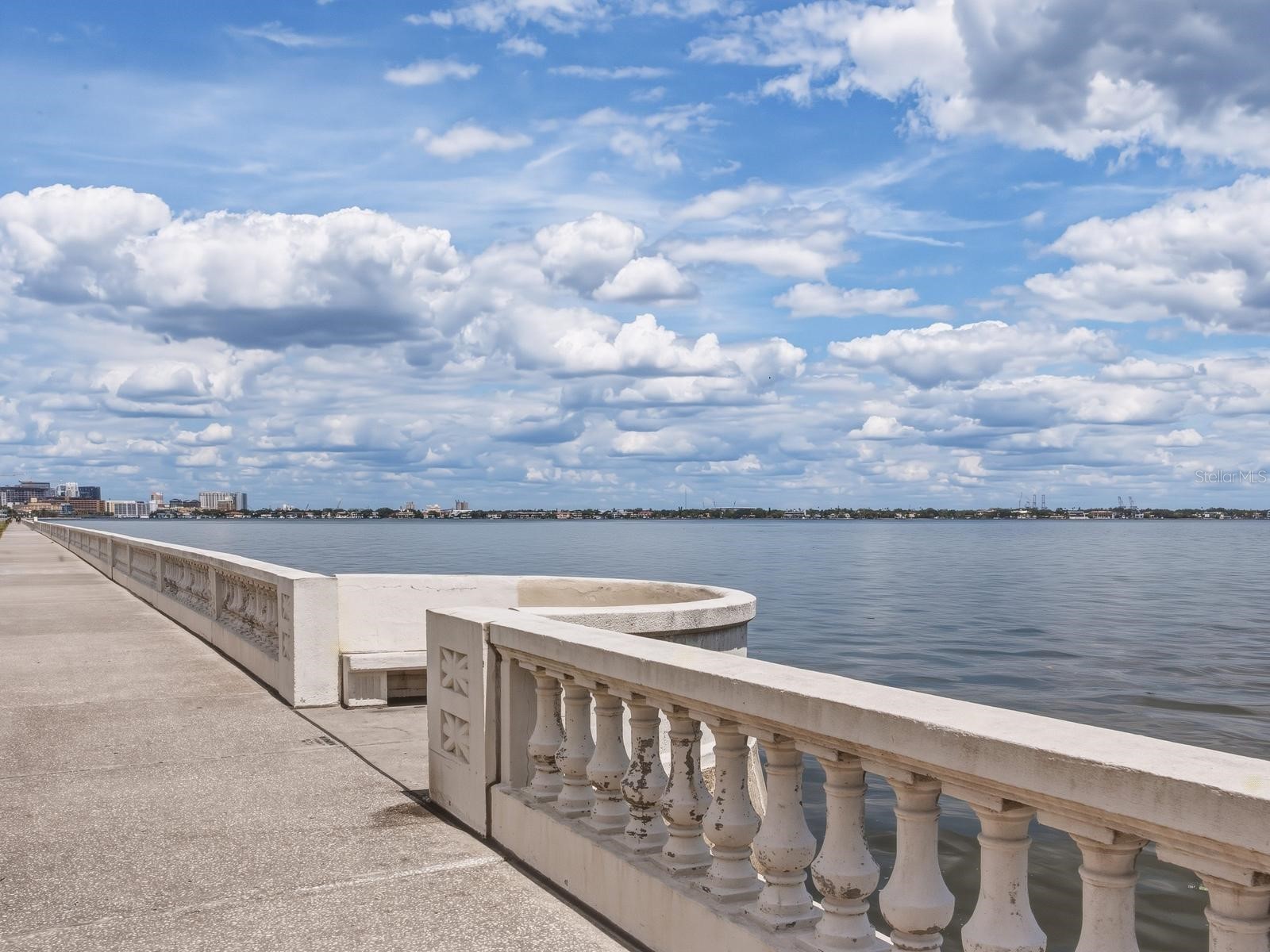 2413 Bayshore Boulevard #201 Tampa FL 33629 TB8495053 image38