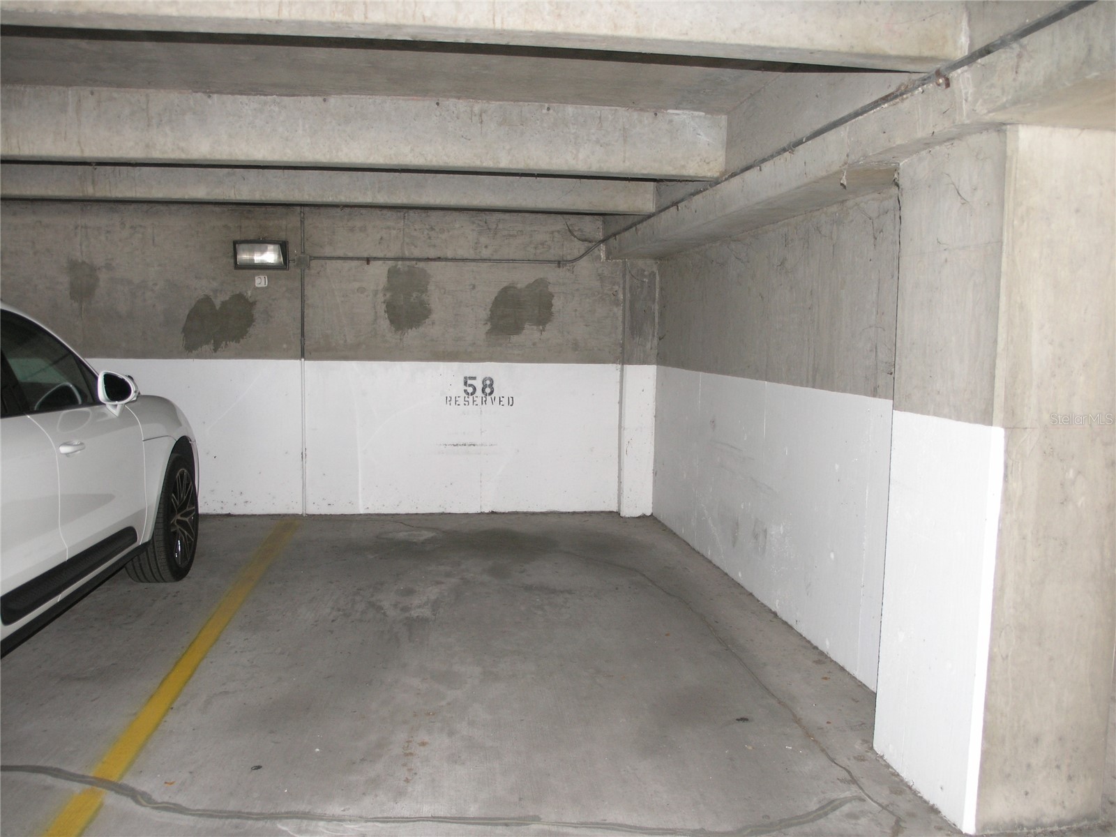2413 Bayshore Boulevard #201 Tampa FL 33629 TB8495053 image39