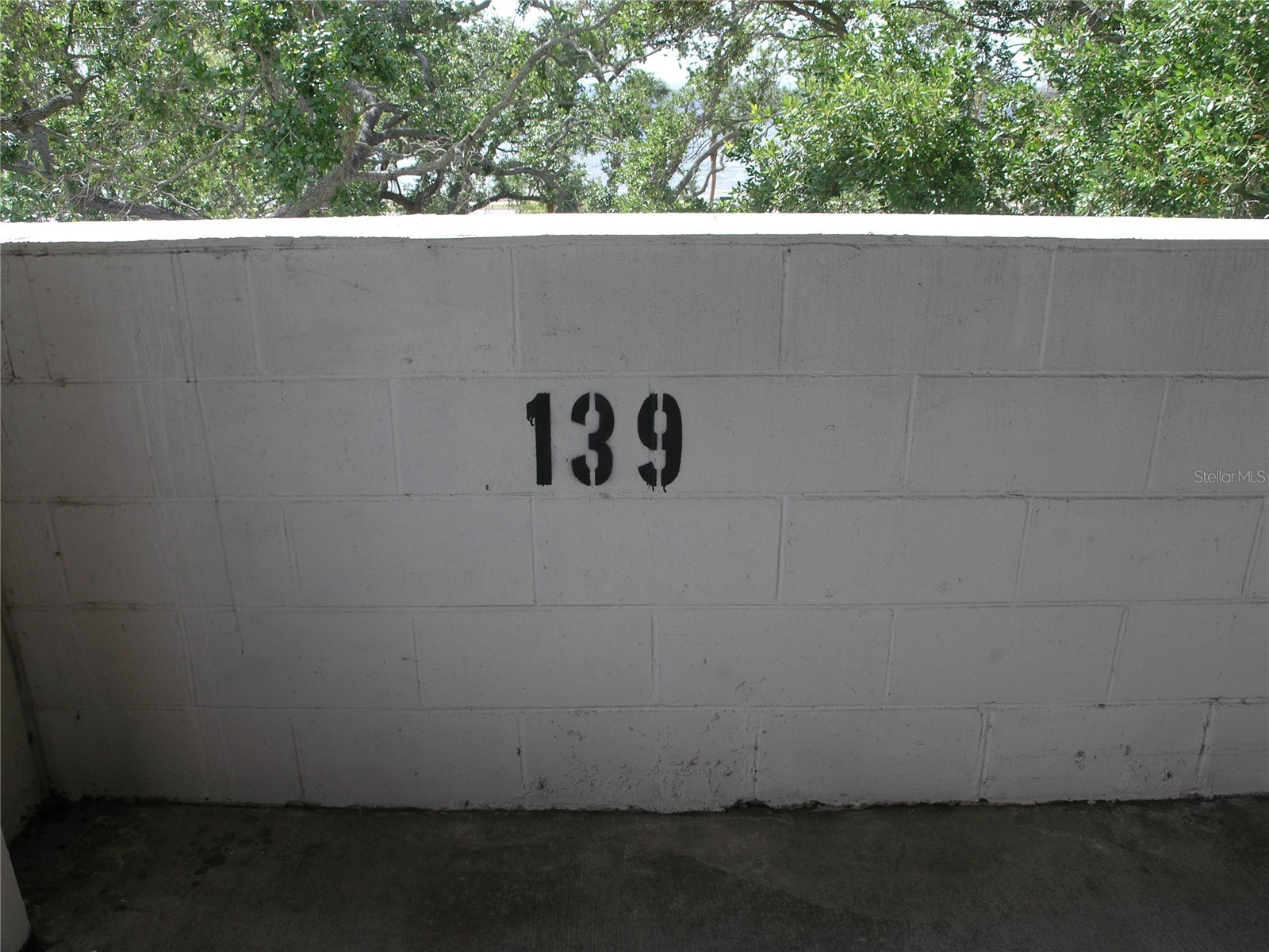 2413 Bayshore Boulevard #201 Tampa FL 33629 TB8495053 image42