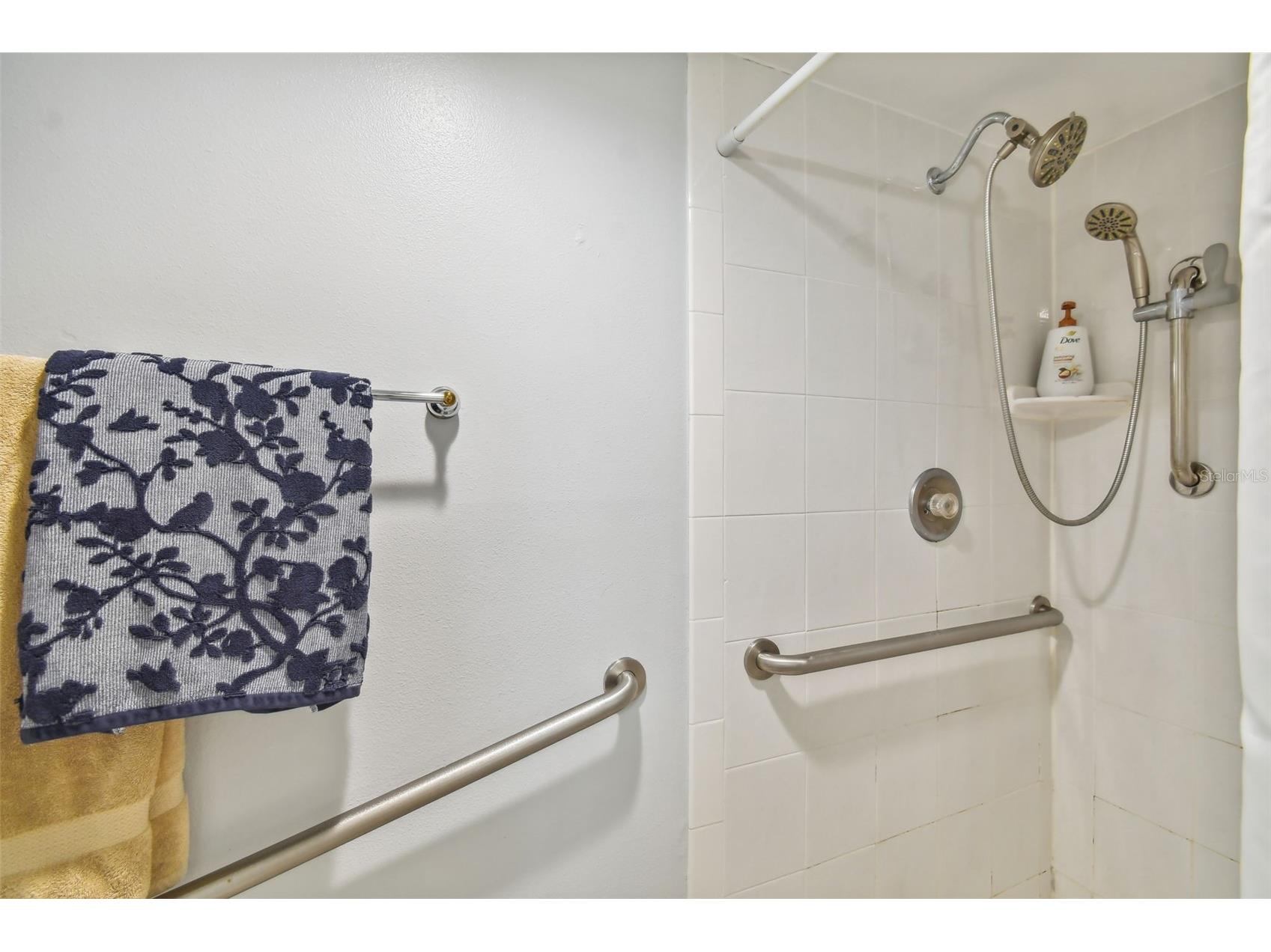 2413 Bayshore Boulevard #202 Tampa FL 33629 TB8510589 image19