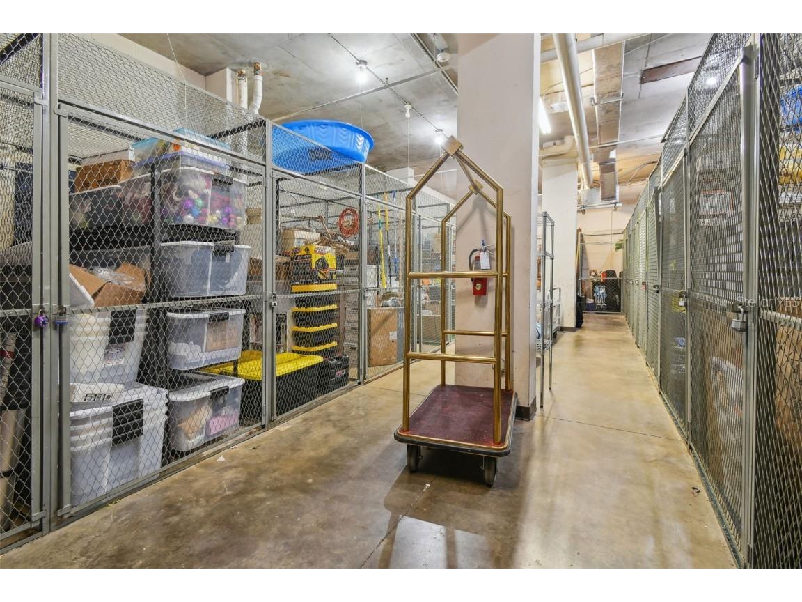 2413 Bayshore Boulevard #703 Tampa FL 33629 TB8410361 image40