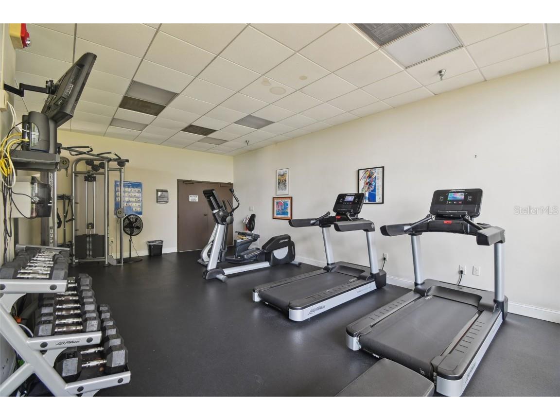 2413 Bayshore Boulevard #703 Tampa FL 33629 TB8410361 image41