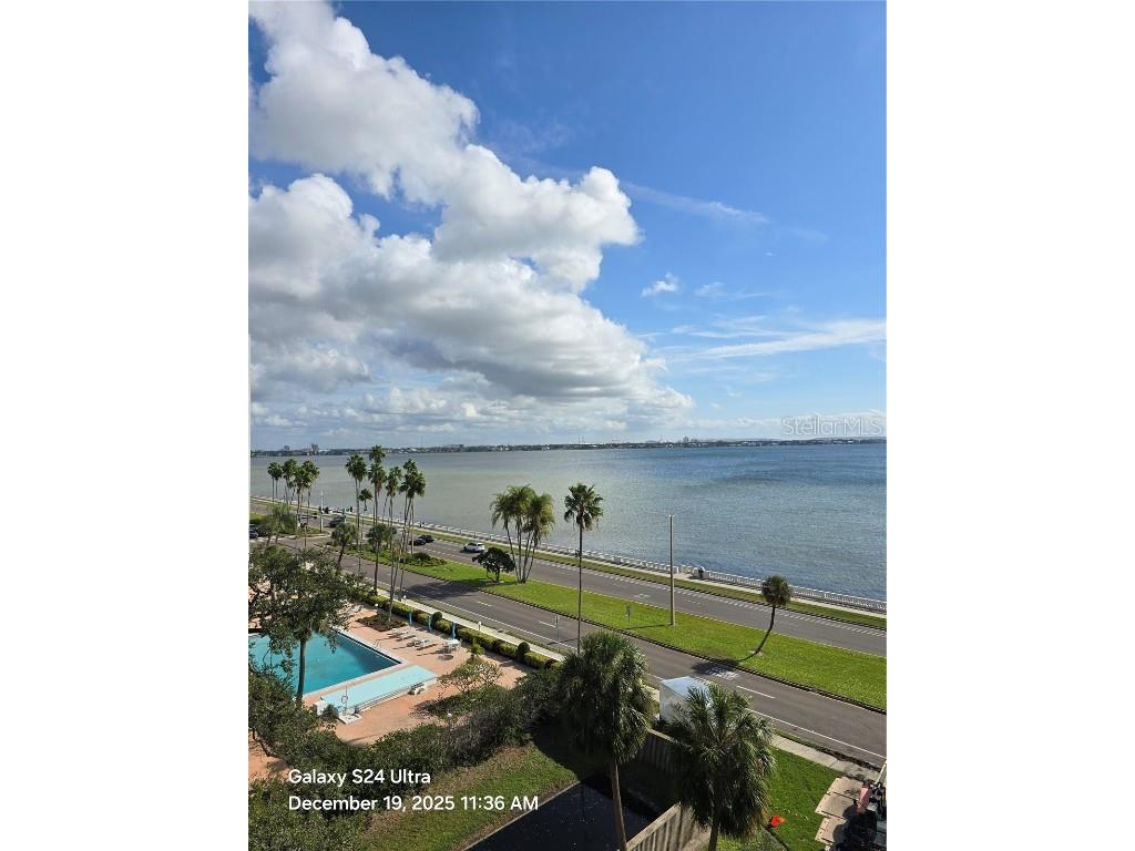 2413 Bayshore Boulevard #703 Tampa FL 33629 TB8410361 image52