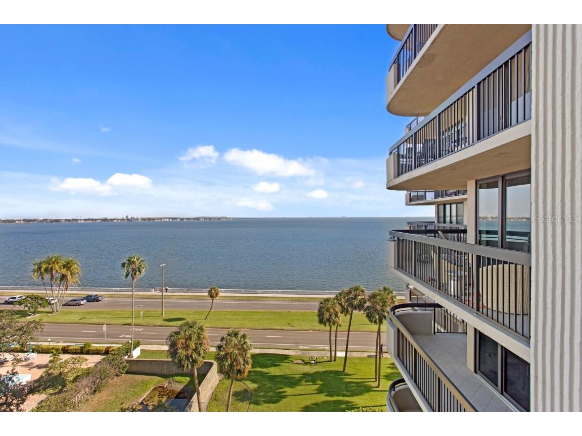 2413 Bayshore Boulevard #801 Tampa FL 33629 TB8374348 image15