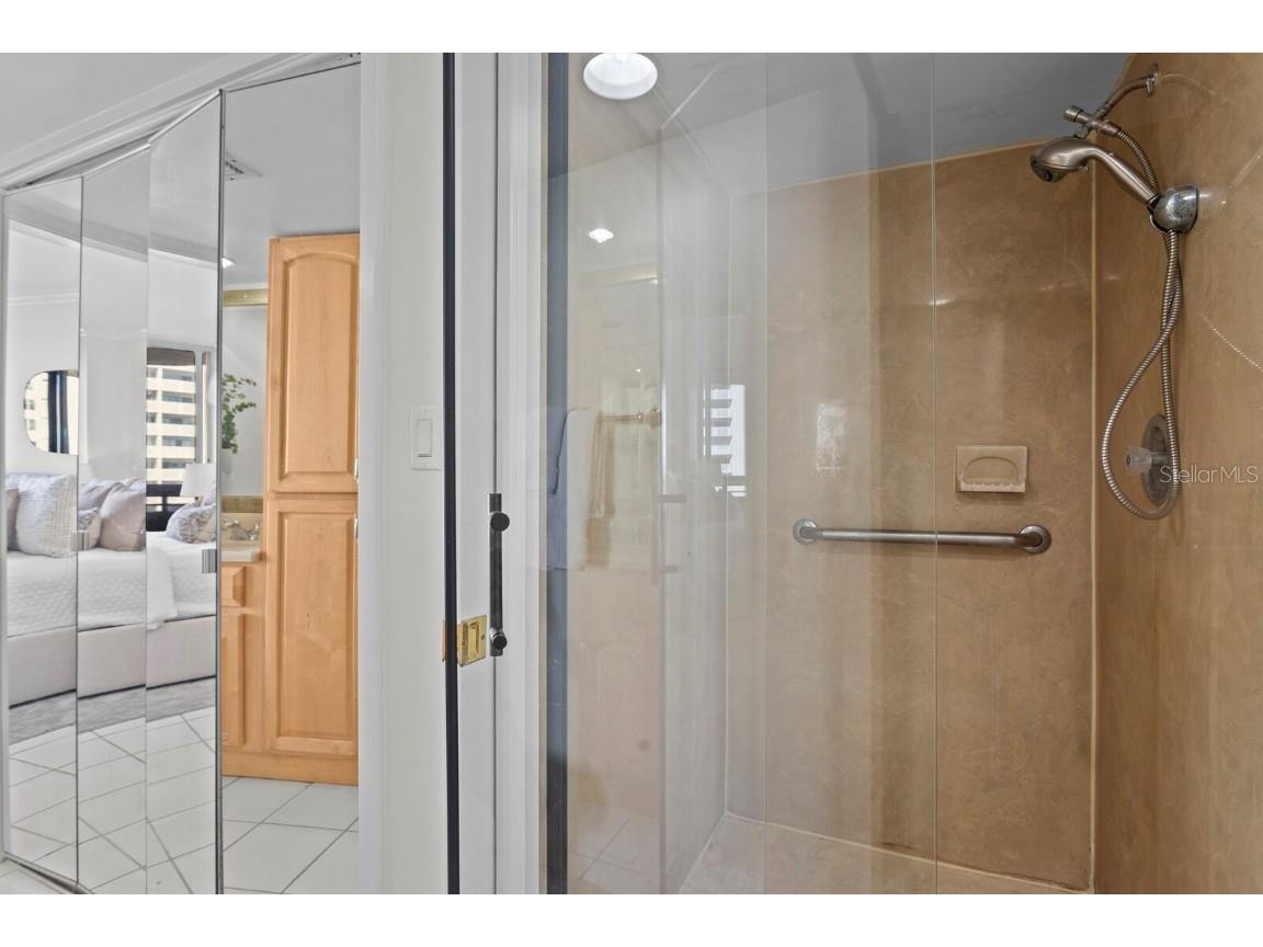 2413 Bayshore Boulevard #801 Tampa FL 33629 TB8374348 image26