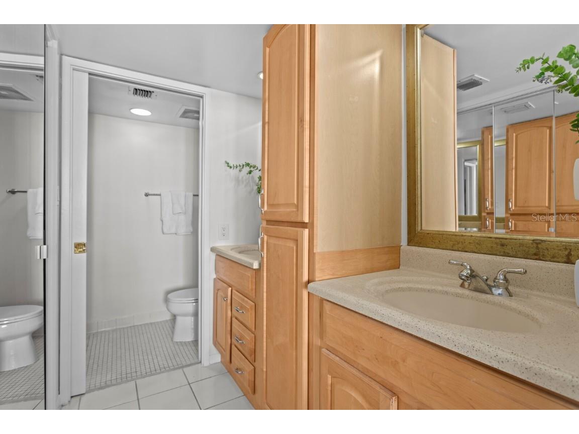 2413 Bayshore Boulevard #801 Tampa FL 33629 TB8374348 image27