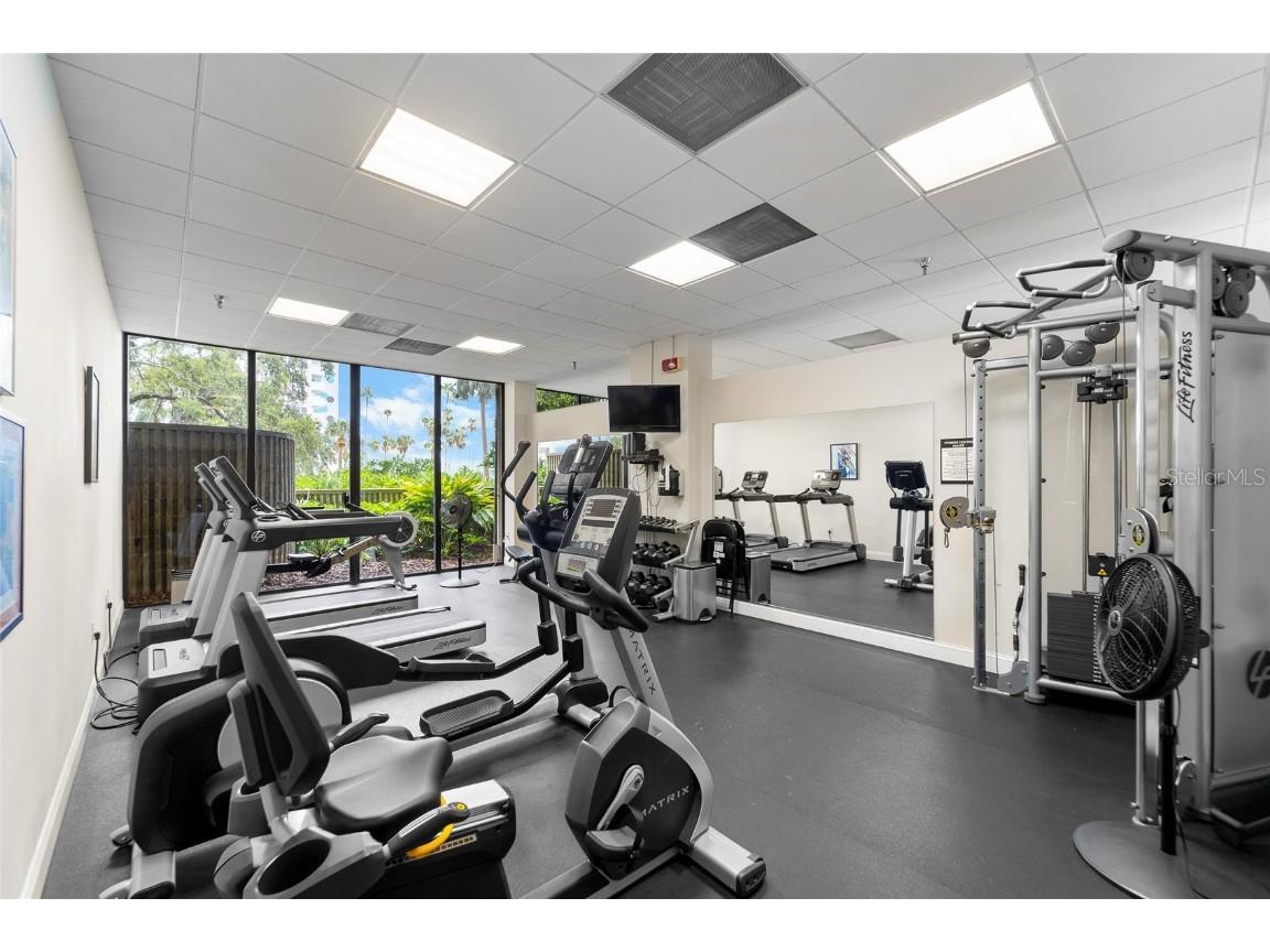 2413 Bayshore Boulevard #801 Tampa FL 33629 TB8374348 image38